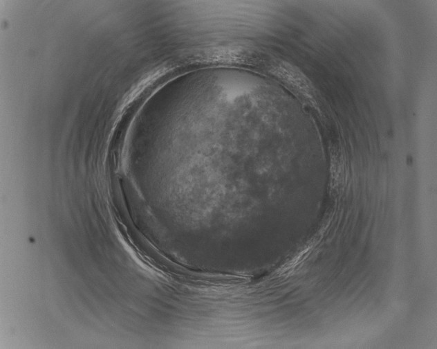 X0000067860674200604131317