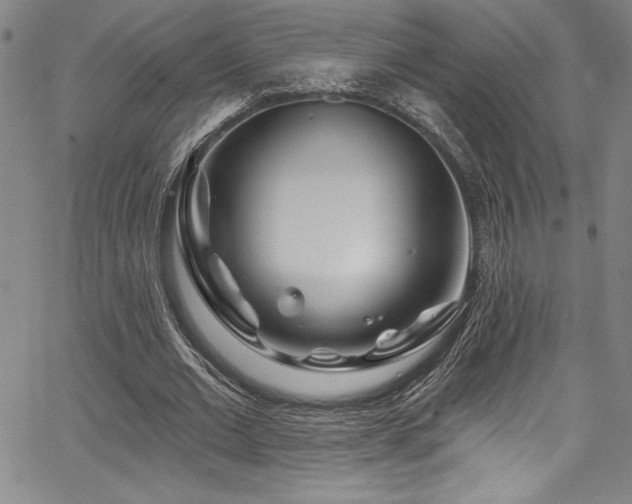 X0000067860677200604131317