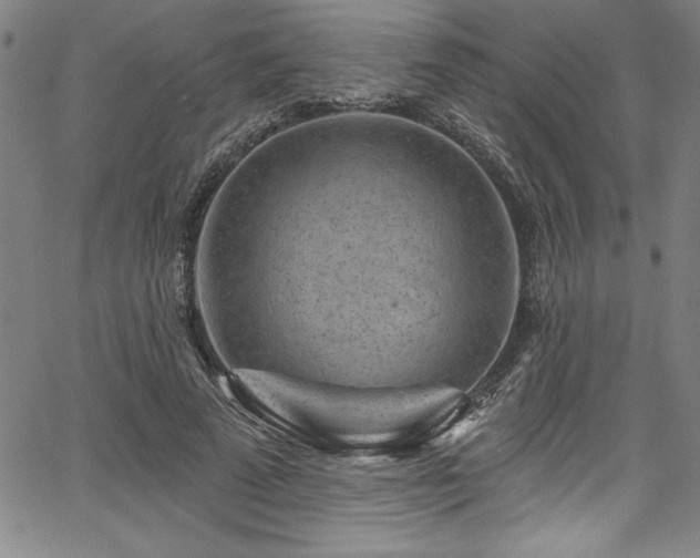 X0000067860689200604131316