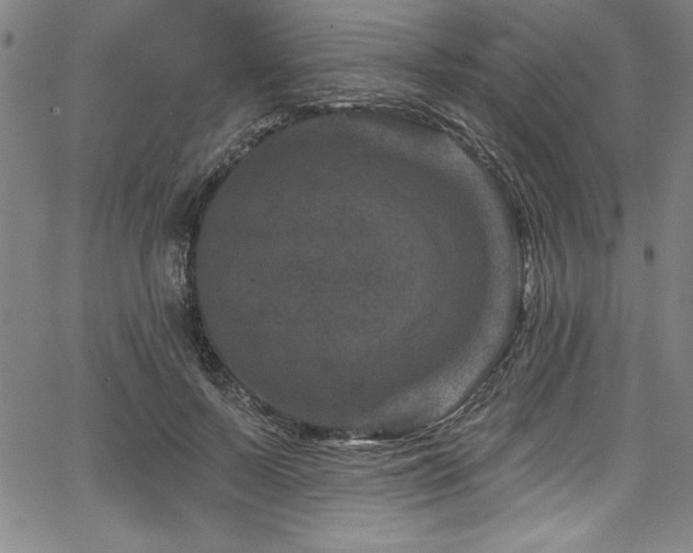 X0000067860695200604131316
