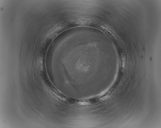 X0000067860696200604131316