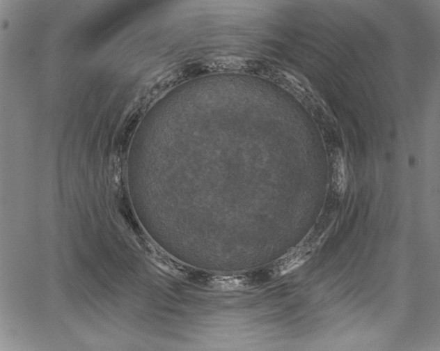X0000067860701200604131316