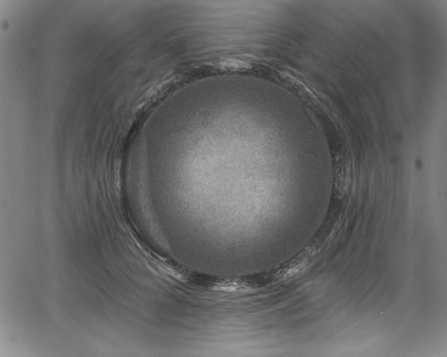 X0000067860704200604131316