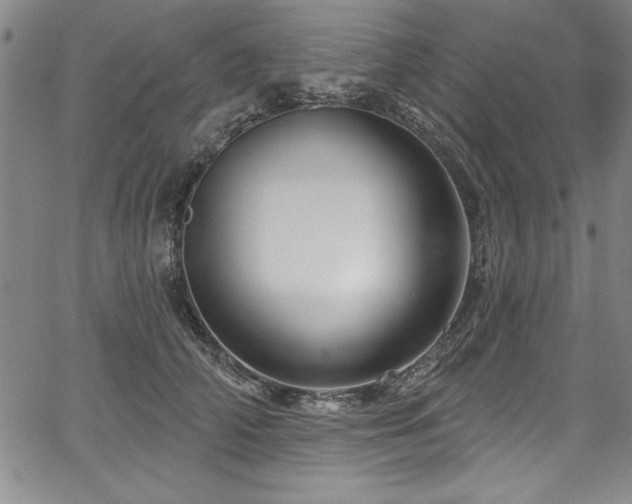 X0000067860706200604131316
