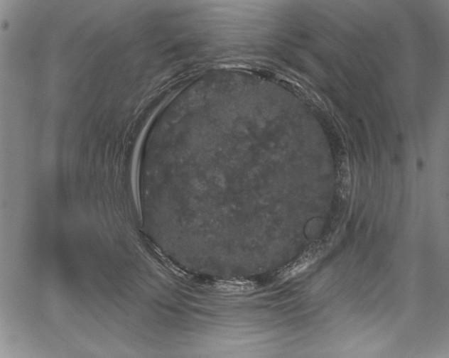 X0000067860707200604131316