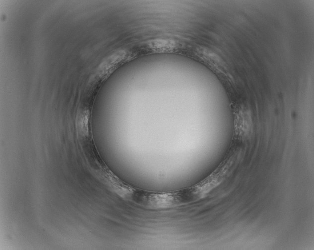 X0000067860717200604131316
