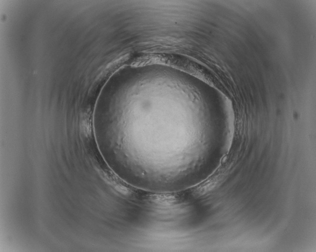 X0000067860719200604131316