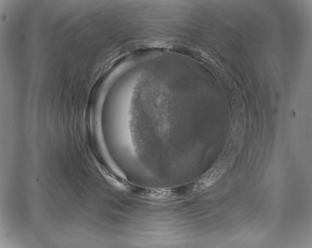 X0000067860720200604131316