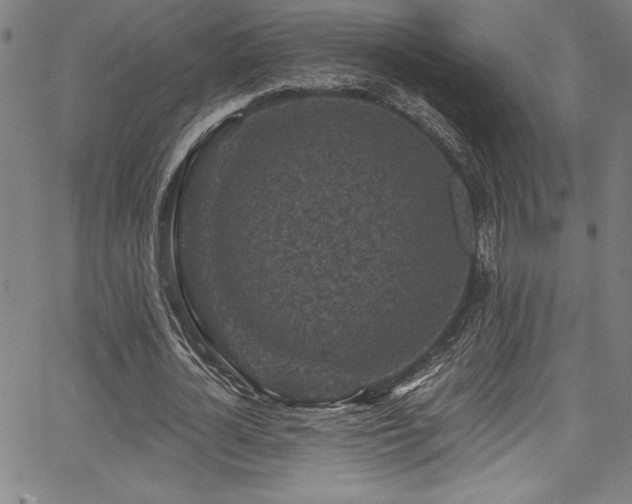 X0000067860724200604131315