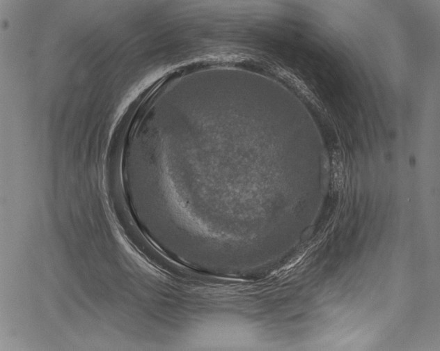 X0000067860726200604131315