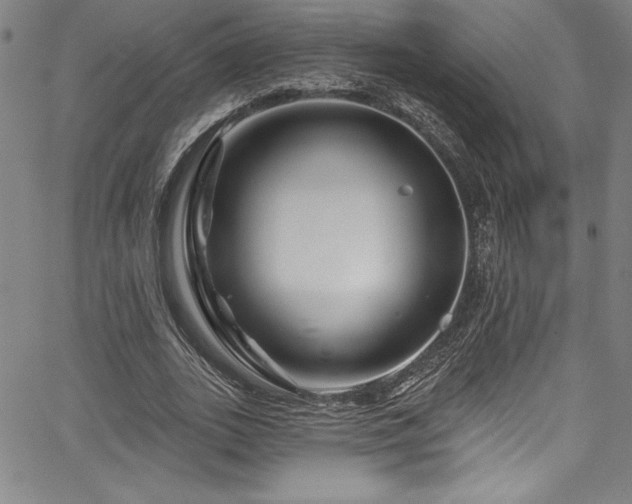 X0000067860727200604131315