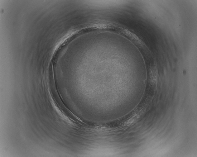 X0000067860730200604131315