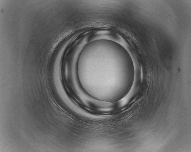 X0000067860731200604131315