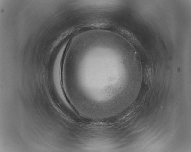 X0000067860734200604131315