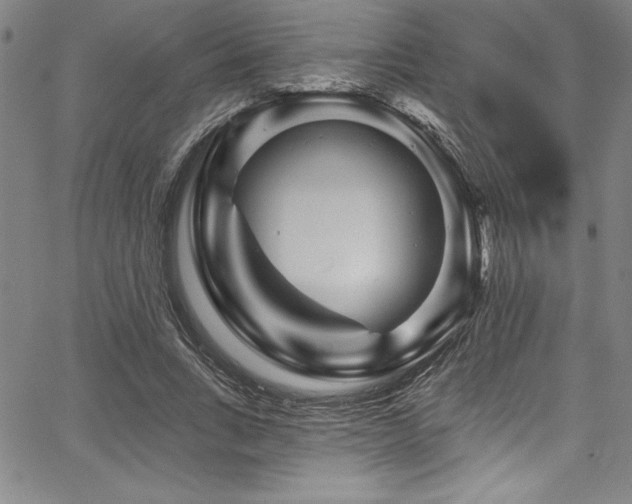 X0000067860735200604131315