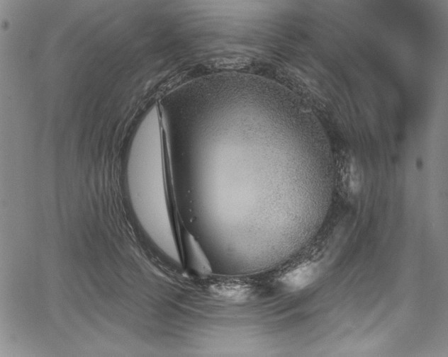 X0000067860745200604131316