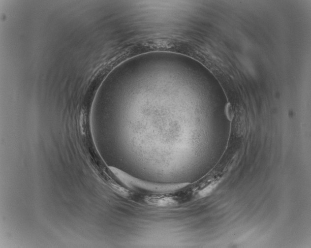 X0000067860747200604131316