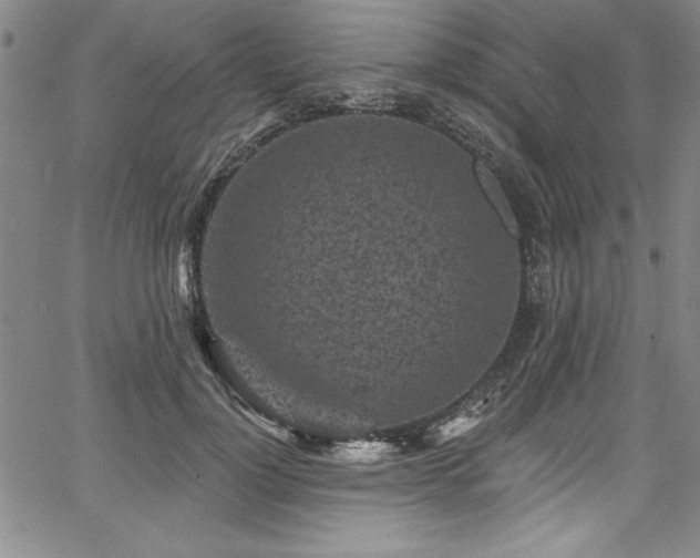 X0000067860748200604131316