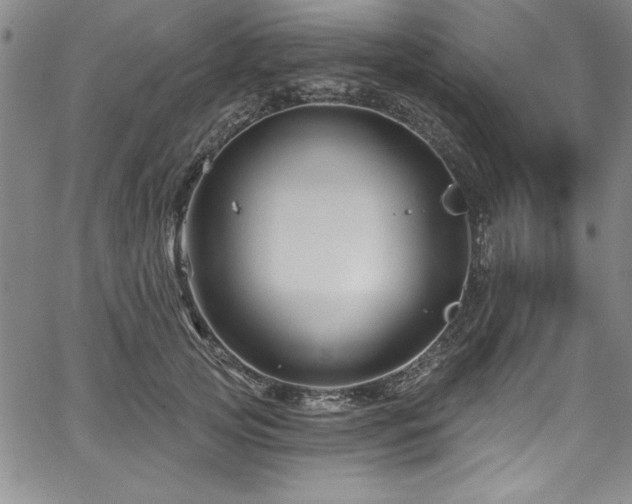 X0000067860753200604131316