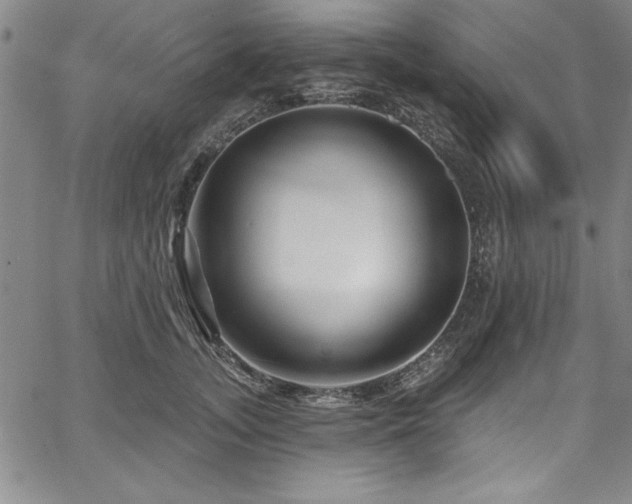 X0000067860755200604131316
