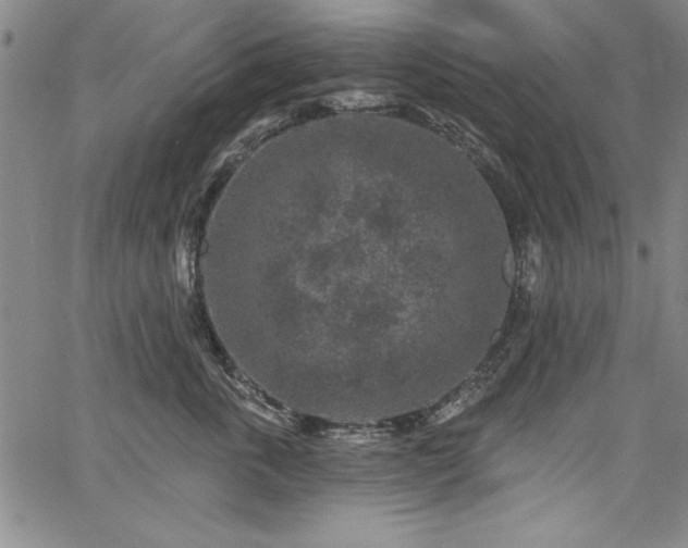 X0000067860763200604131316