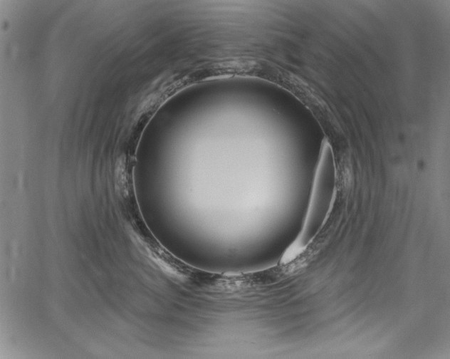 X0000067860764200604131316