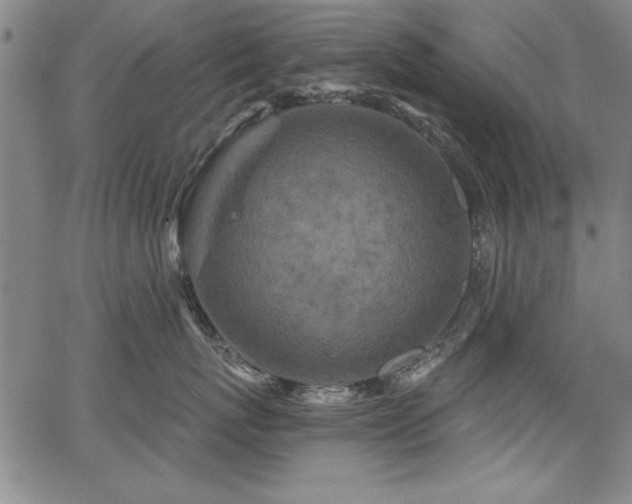 X0000067860767200604131316