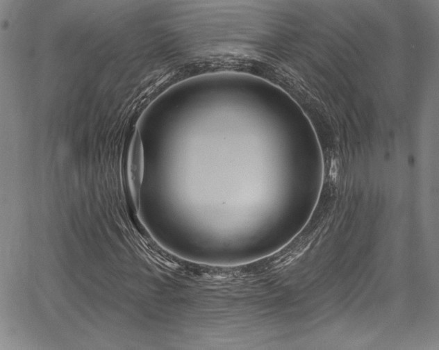 X0000067860771200604131315