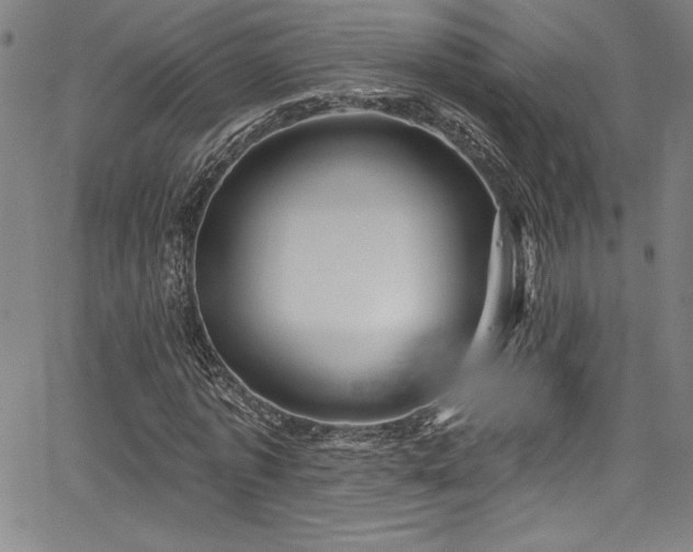 X0000067860773200604131315