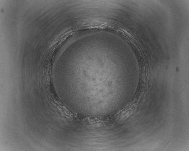 X0000067860774200604131315