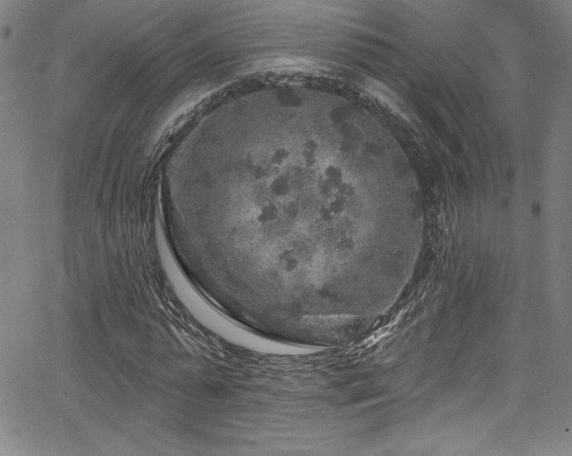 X0000067860775200604131315