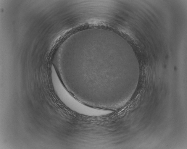 X0000067860776200604131315