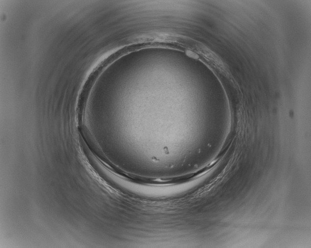 X0000067860784200604131315