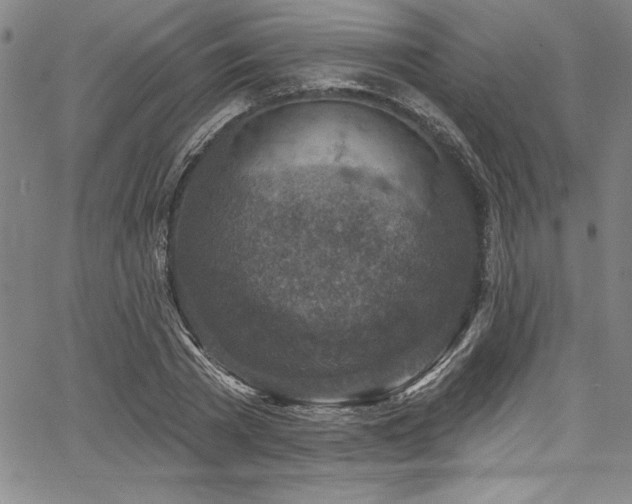 X0000067860785200604131315