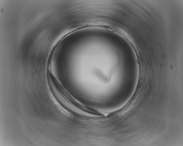 X0000067860803200604131315