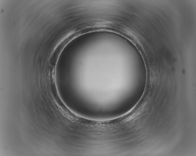 X0000067860827200604131314