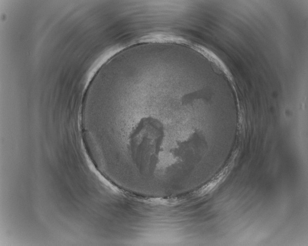 X0000067860855200604131314