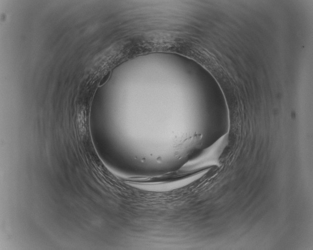 X0000067860866200604131314