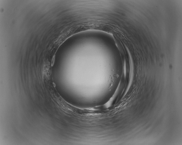 X0000067860867200604131314