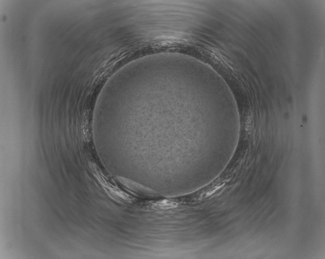 X0000067860868200604131314
