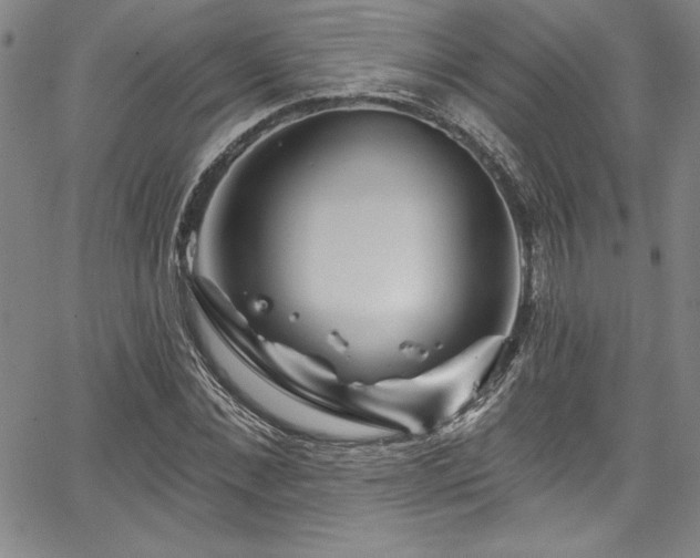X0000067860876200604131313