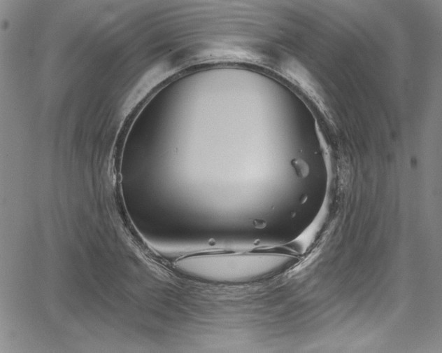 X0000067860885200604131313