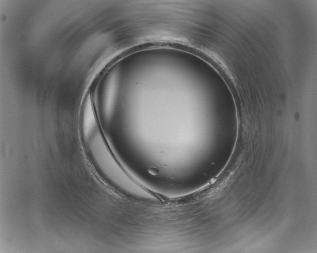 X0000067860887200604131313