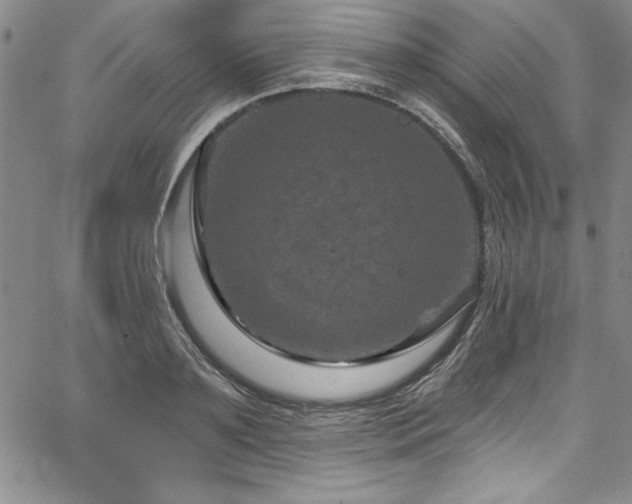 X0000067860891200604131313