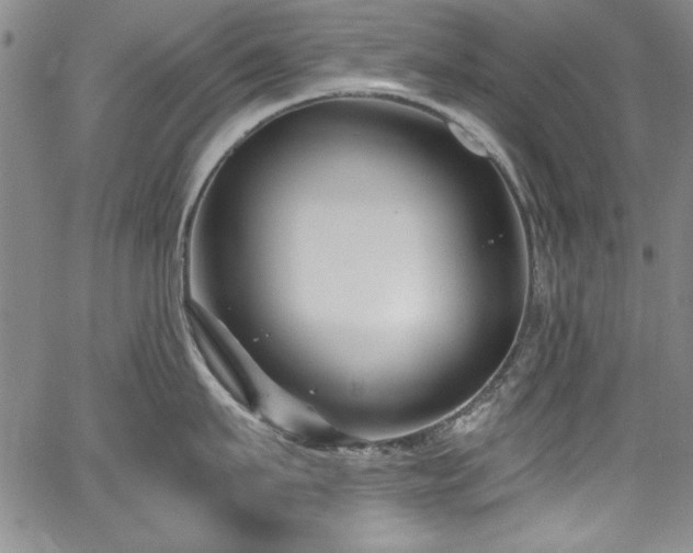 X0000067860911200604131313