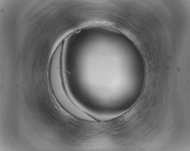 X0000067860912200604131313
