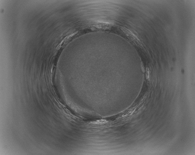 X0000067860915200604131312