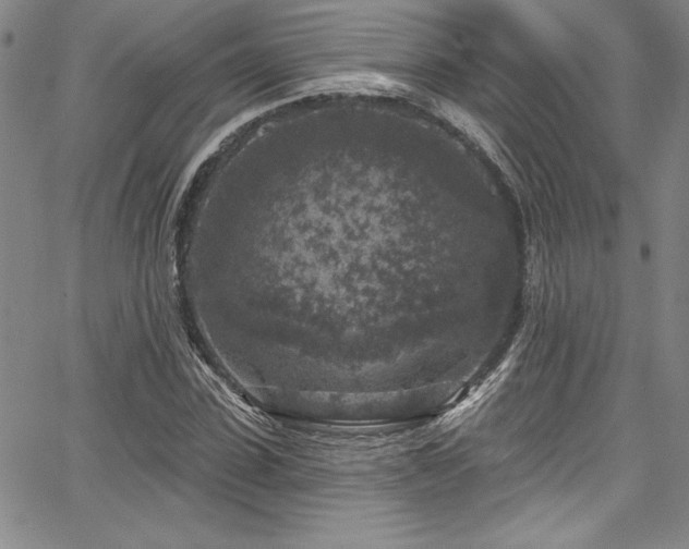 X0000067860923200604131312