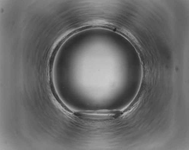 X0000067860939200604131312