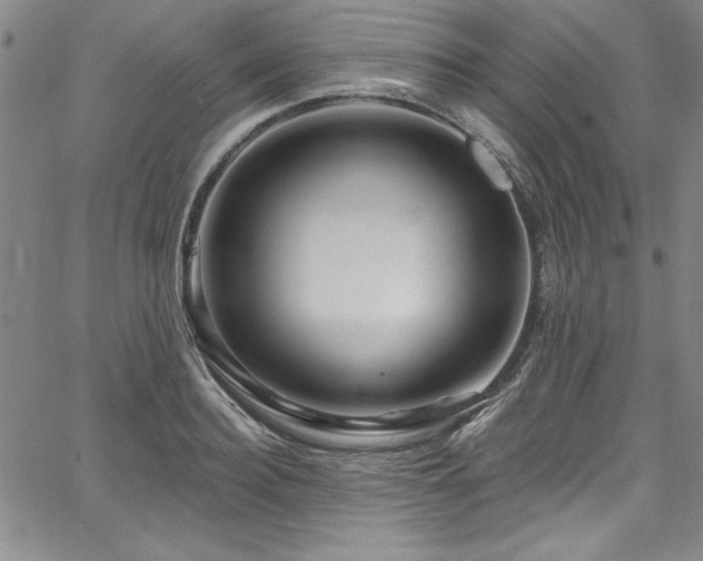 X0000067860940200604131312